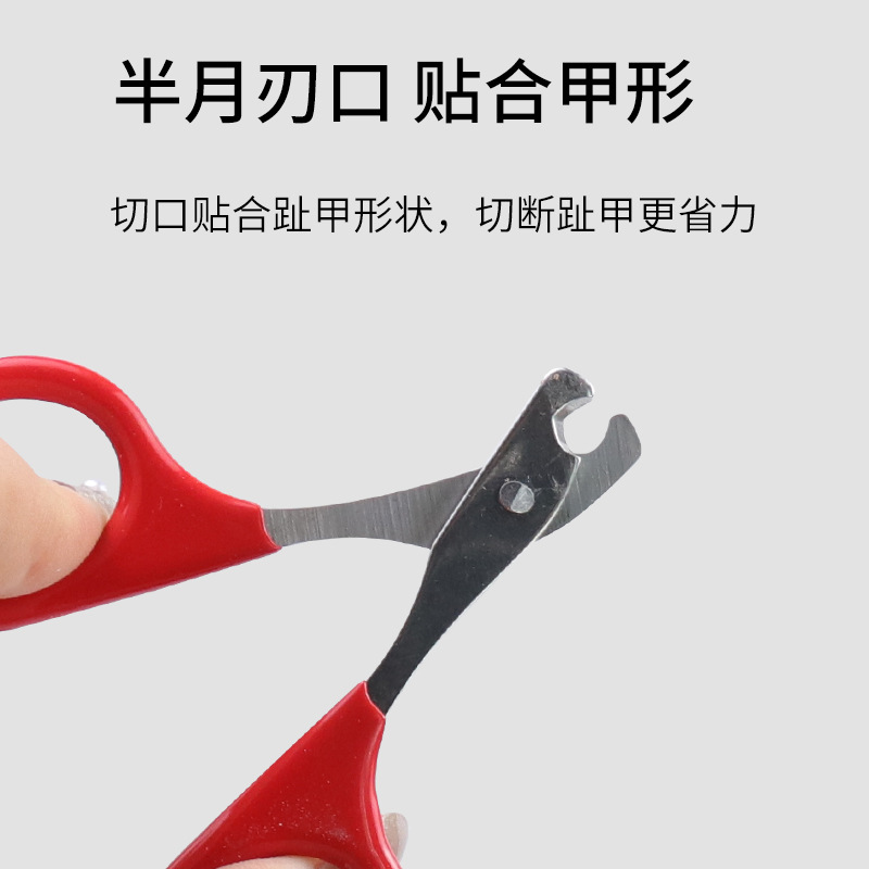 Pet Supplies Amazon Hot Cat Nail Scissors Stainless Steel Small Pet Nail Clipper Nail Scissors Cat Beauty Tools
