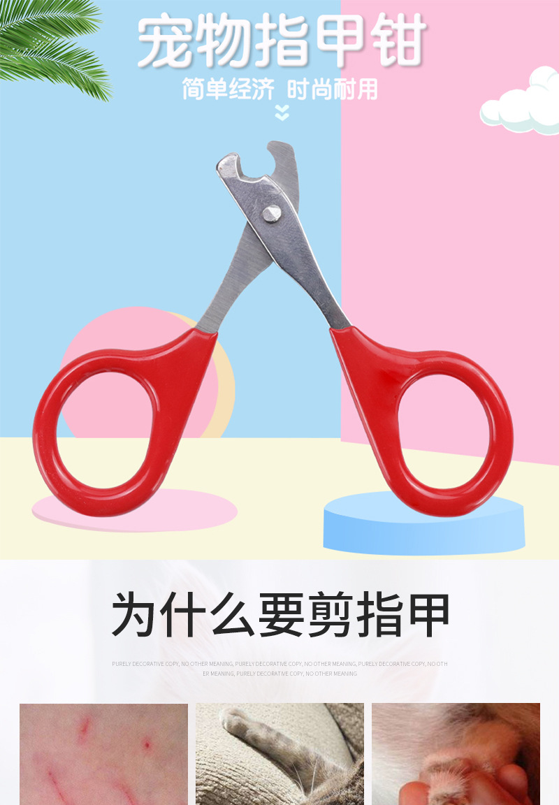 Pet Supplies Amazon Hot Cat Nail Scissors Stainless Steel Small Pet Nail Clipper Nail Scissors Cat Beauty Tools Pet Supplies Amazon Hot Cat Nail Scissors Stainless Steel Small Pet Nail Clipper Nail Scissors Cat Beauty Tools