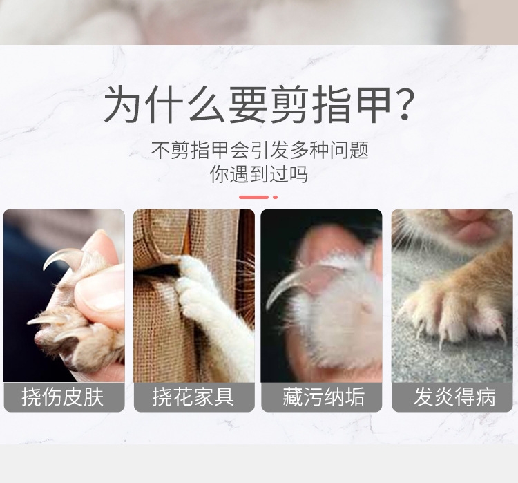 Pet Nail Clipper Stainless Steel Cat Nail Clippers Pet Scissors Cat Cleaning Beauty Nail Clippers Pet Supplies