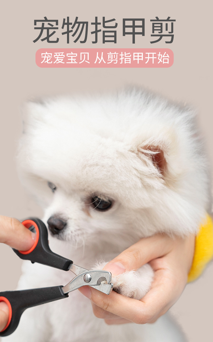 Pet Nail Clipper Stainless Steel Cat Nail Clippers Pet Scissors Cat Cleaning Beauty Nail Clippers Pet Supplies