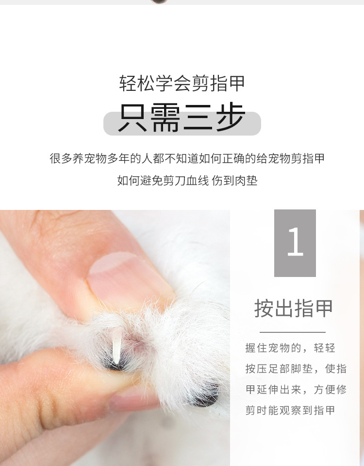 Pet Nail Clipper Stainless Steel Cat Nail Clippers Pet Scissors Cat Cleaning Beauty Nail Clippers Pet Supplies