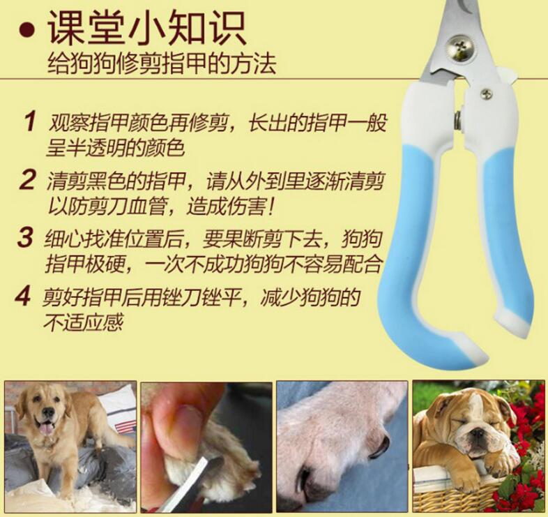Pet Nail Clipper Crank Cat Nail Clippers Dog Supplies Nail Clippers Two-Piece Set with File in Stock Cross-Border