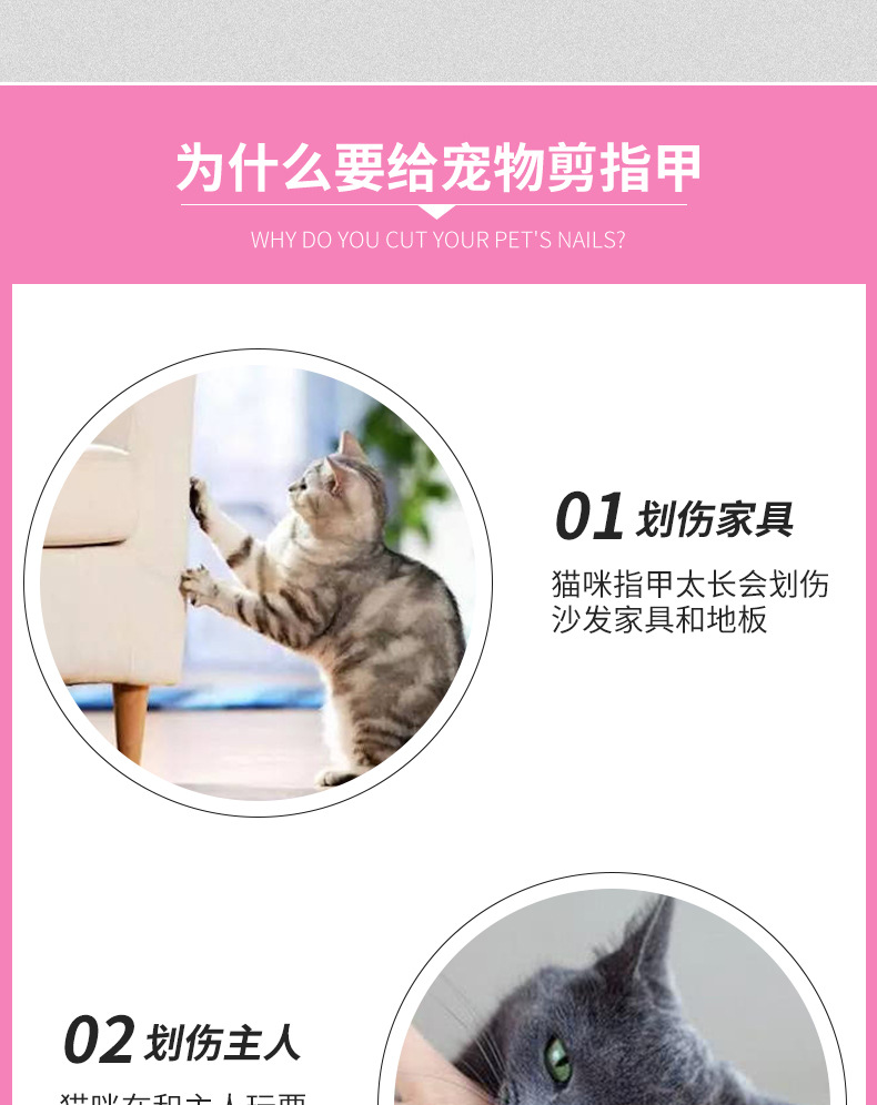 Popular Stainless Steel Pet Nail Clipper Nail Clippers Set Cat Nail Trimming Dog Cleaning and Beauty Tools in Stock