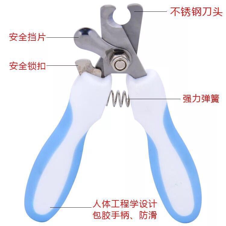 Special Offer Pet Nail Clipper Set Cat and Dog Stainless Steel Nail Clippers Teddy/Golden Retriever Trim Beauty Supplies Special Offer Pet Nail Clipper Set Cat and Dog Stainless Steel Nail Clippers Teddy/Golden Retriever Trim Beauty Supplies