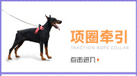 Amazon Manufacturer Pet Sofa Protective Tape Cat Anti-Scratch Stickers Protective Film Training Pet Supplies Amazon Manufacturer Pet Sofa Protective Tape Cat Anti-Scratch Stickers Protective Film Training Pet Supplies