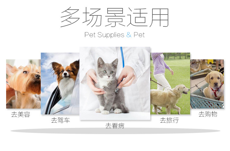 Spot Portable Cat Bag Space Capsule Laser Pet Backpack Large Capacity Backpack Cat Transparent Bag Spot Portable Cat Bag Space Capsule Laser Pet Backpack Large Capacity Backpack Cat Transparent Bag