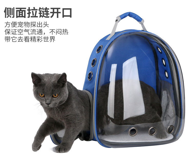 Panoramic transparent space pet backpack doggie bag travel bag travel bag pet supplies