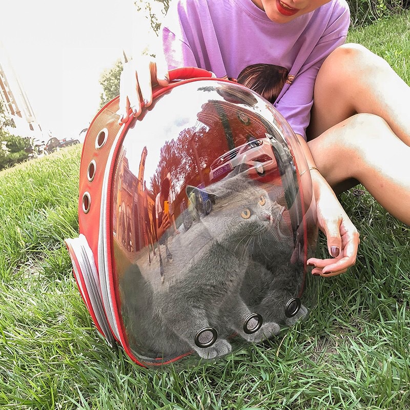 Pet Bag Transparent Factory Direct Sale Space Capsule Pet Cat Dog out Portable Pet Backpack Pet Bag Transparent Factory Direct Sale Space Capsule Pet Cat Dog out Portable Pet Backpack