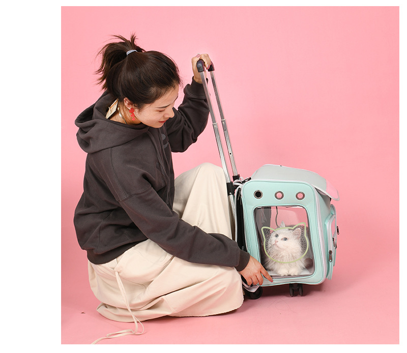 New Pet Trolley Bag Large Capacity Pet Luggage Pet Bag Dog Bag Pet Backpack Cat Bag New Pet Trolley Bag Large Capacity Pet Luggage Pet Bag Dog Bag Pet Backpack Cat Bag