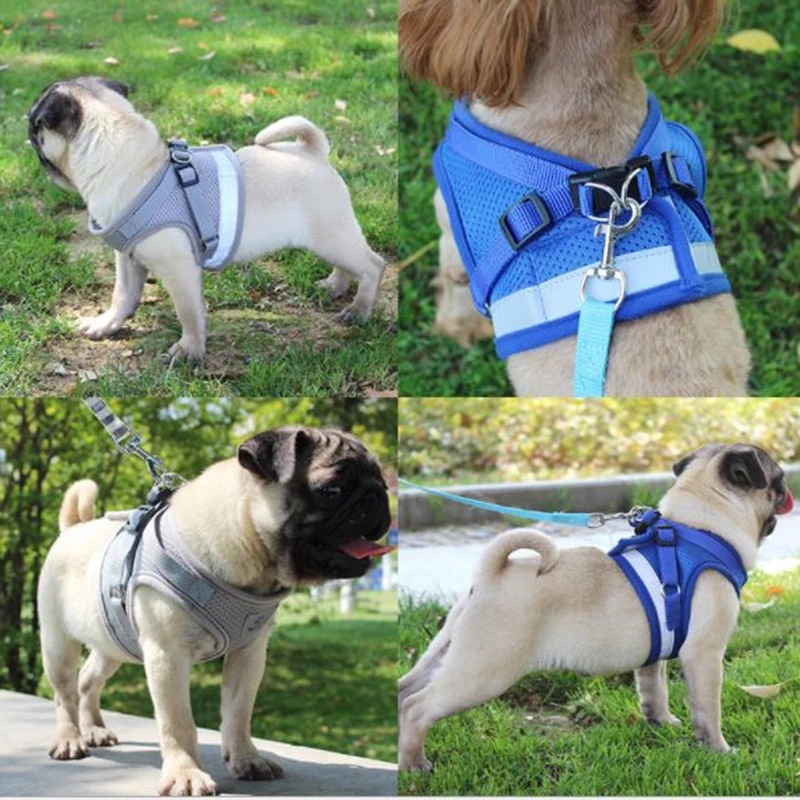 Cross-Border Dog Traction Suit Cat Pulling Rope Reflective Chest and Back Clothing Dog Harness Small and Medium-Sized Pet Supplies Wholesale Cross-Border Dog Traction Suit Cat Pulling Rope Reflective Chest and Back Clothing Dog Harness Small and Medium-Sized Pet Supplies Wholesale