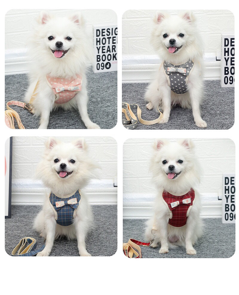 Plaid Chest Strap Pet Hand Holding Rope Dot Dog Vest Hand Holding Rope Mesh Chest Back Dog Leash Cat Rope Wholesale Plaid Chest Strap Pet Hand Holding Rope Dot Dog Vest Hand Holding Rope Mesh Chest Back Dog Leash Cat Rope Wholesale