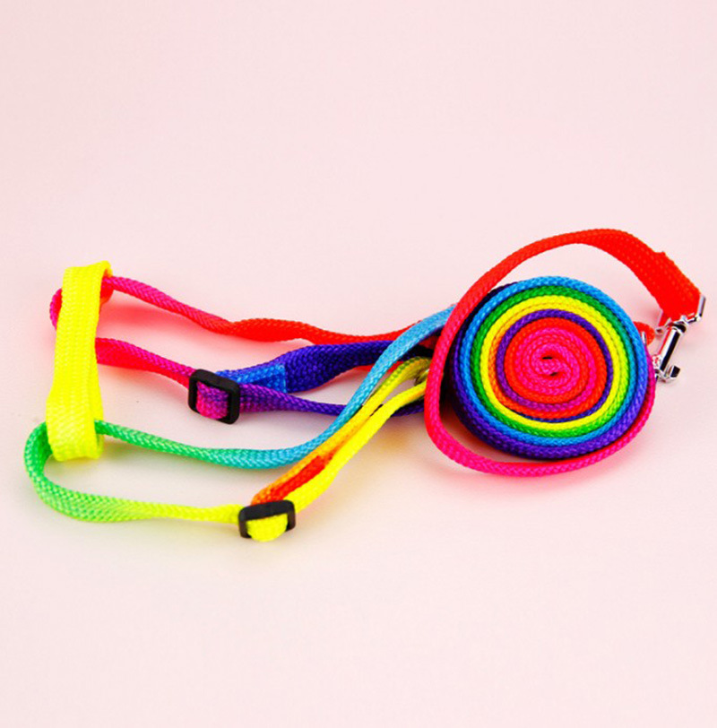 T Pet Supplies Wholesale Colorful Nylon Chest and Back Cover Hand Holding Rope Teddy Dog Leash Cat Nylon Tow Rope Hand Holding Rope