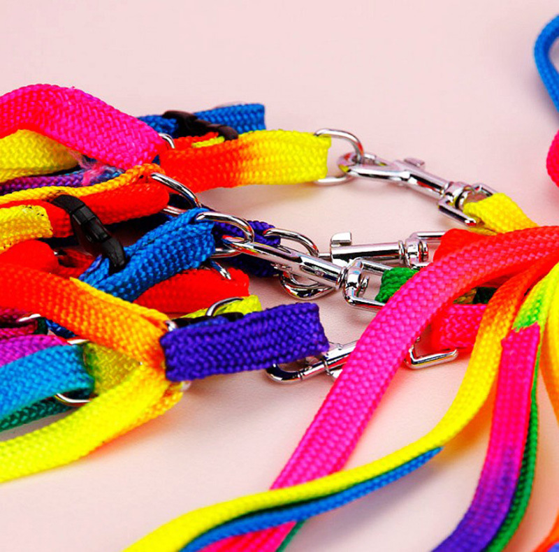 T Pet Supplies Wholesale Colorful Nylon Chest and Back Cover Hand Holding Rope Teddy Dog Leash Cat Nylon Tow Rope Hand Holding Rope