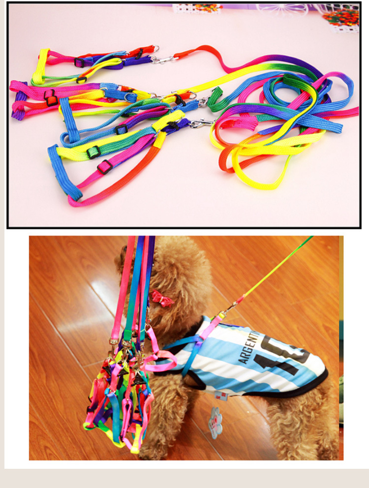 T Pet Supplies Wholesale Colorful Nylon Chest and Back Cover Hand Holding Rope Teddy Dog Leash Cat Nylon Tow Rope Hand Holding Rope T Pet Supplies Wholesale Colorful Nylon Chest and Back Cover Hand Holding Rope Teddy Dog Leash Cat Nylon Tow Rope Hand Holding Rope