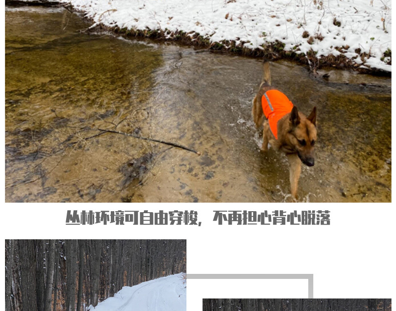 Factory Direct Sales Led Orange Luminous Pet Vest USB Rechargeable Reflective Dog Clothes Waterproof Chest Back Pet Supplies Factory Direct Sales Led Orange Luminous Pet Vest USB Rechargeable Reflective Dog Clothes Waterproof Chest Back Pet Supplies