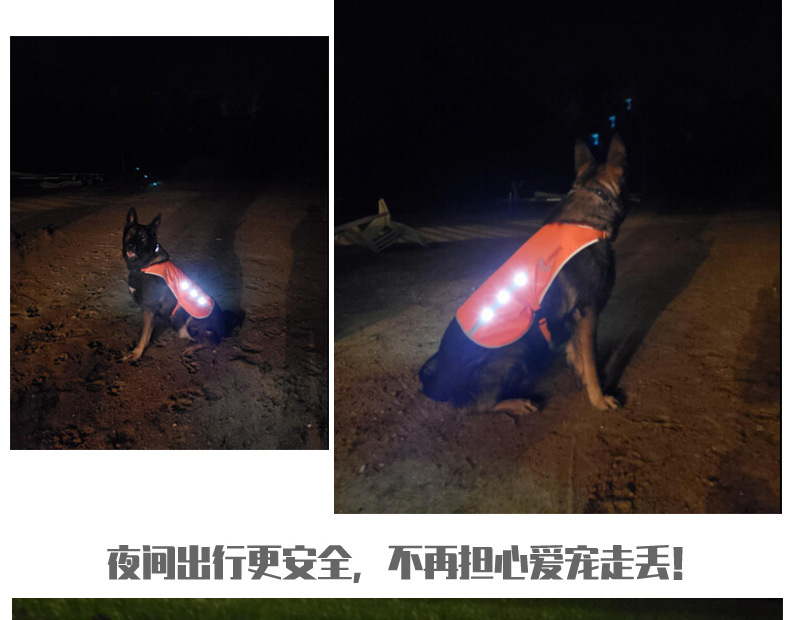 Factory Direct Sales Led Orange Luminous Pet Vest USB Rechargeable Reflective Dog Clothes Waterproof Chest Back Pet Supplies Factory Direct Sales Led Orange Luminous Pet Vest USB Rechargeable Reflective Dog Clothes Waterproof Chest Back Pet Supplies