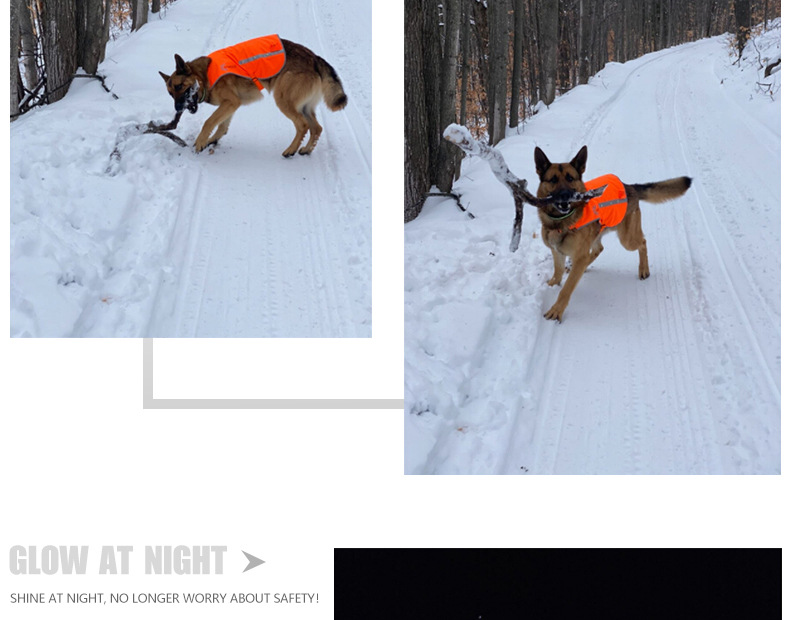 Factory Direct Sales Led Orange Luminous Pet Vest USB Rechargeable Reflective Dog Clothes Waterproof Chest Back Pet Supplies Factory Direct Sales Led Orange Luminous Pet Vest USB Rechargeable Reflective Dog Clothes Waterproof Chest Back Pet Supplies