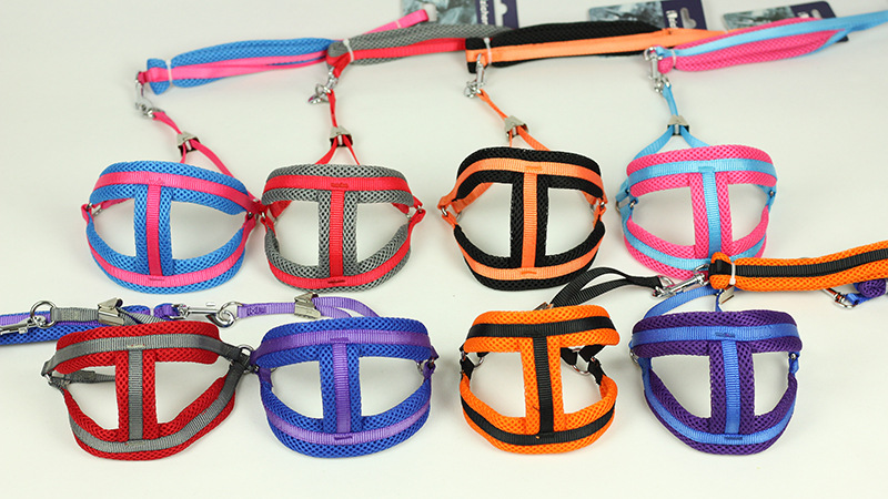 Dog Foam Chest and Back Hand Holding Rope Dog Chain Dog Leash Small Dog Medium Teddy/Pomeranian Pet Supplies Dog Foam Chest and Back Hand Holding Rope Dog Chain Dog Leash Small Dog Medium Teddy/Pomeranian Pet Supplies