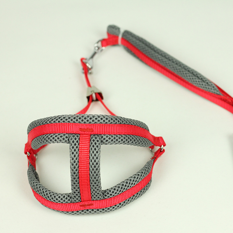 Dog Foam Chest and Back Hand Holding Rope Dog Chain Dog Leash Small Dog Medium Teddy/Pomeranian Pet Supplies Dog Foam Chest and Back Hand Holding Rope Dog Chain Dog Leash Small Dog Medium Teddy/Pomeranian Pet Supplies