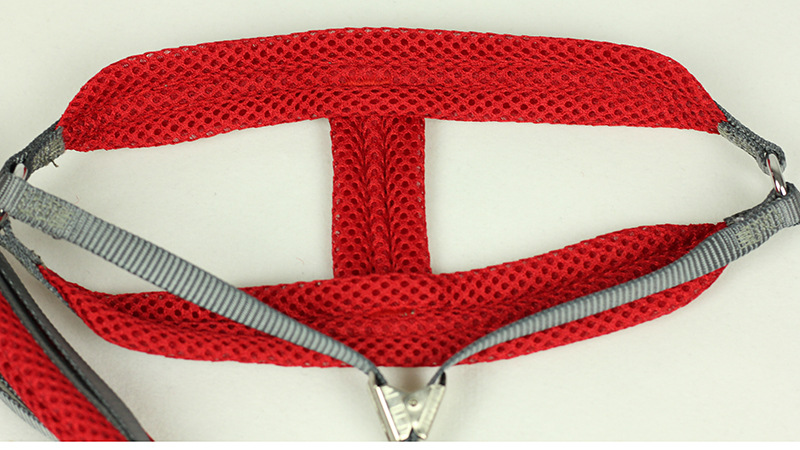 Dog Foam Chest and Back Hand Holding Rope Dog Chain Dog Leash Small Dog Medium Teddy/Pomeranian Pet Supplies Dog Foam Chest and Back Hand Holding Rope Dog Chain Dog Leash Small Dog Medium Teddy/Pomeranian Pet Supplies