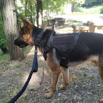 Tactical Dog Clothes Pet Vest Big Dog Clothes Clothes Outdoor Camouflage Dog Vest Nylon Waterproof Chest Back Training Vest K9