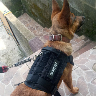 Tactical Dog Clothes Pet Vest Big Dog Clothes Clothes Outdoor Camouflage Dog Vest Nylon Waterproof Chest Back Training Vest K9 Tactical Dog Clothes Pet Vest Big Dog Clothes Clothes Outdoor Camouflage Dog Vest Nylon Waterproof Chest Back Training Vest K9