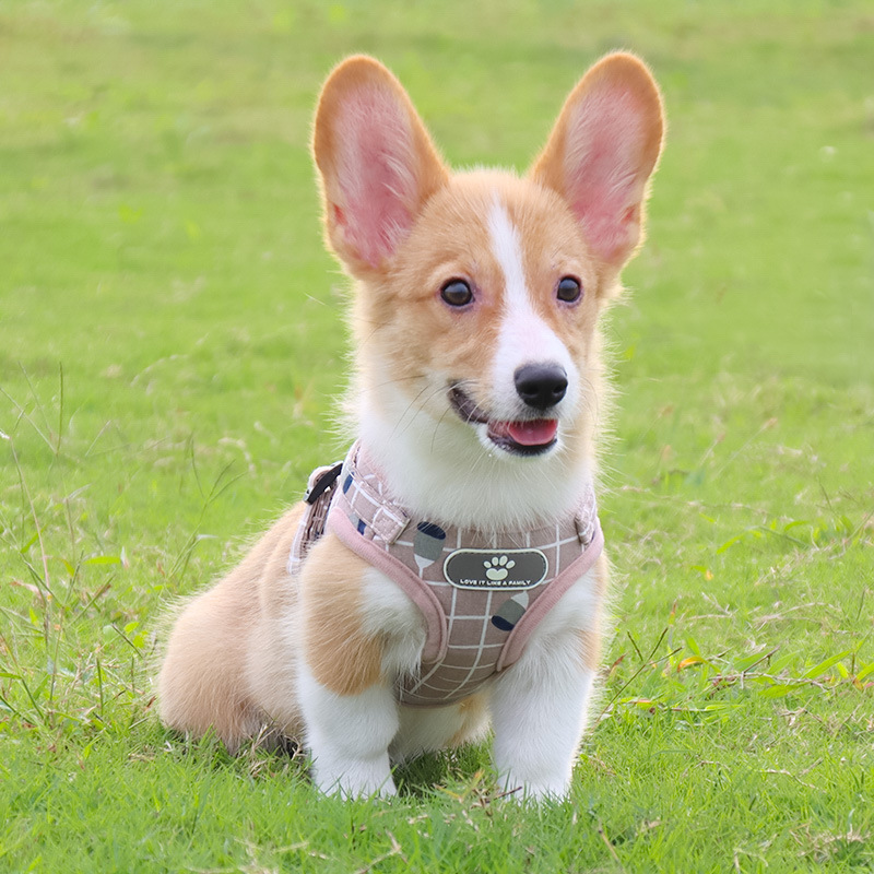 Pet Leash Vest-Style Dog Breast Strap Small and Medium-Sized Dogs Leash Cat Chest Back Currently Available Wholesale