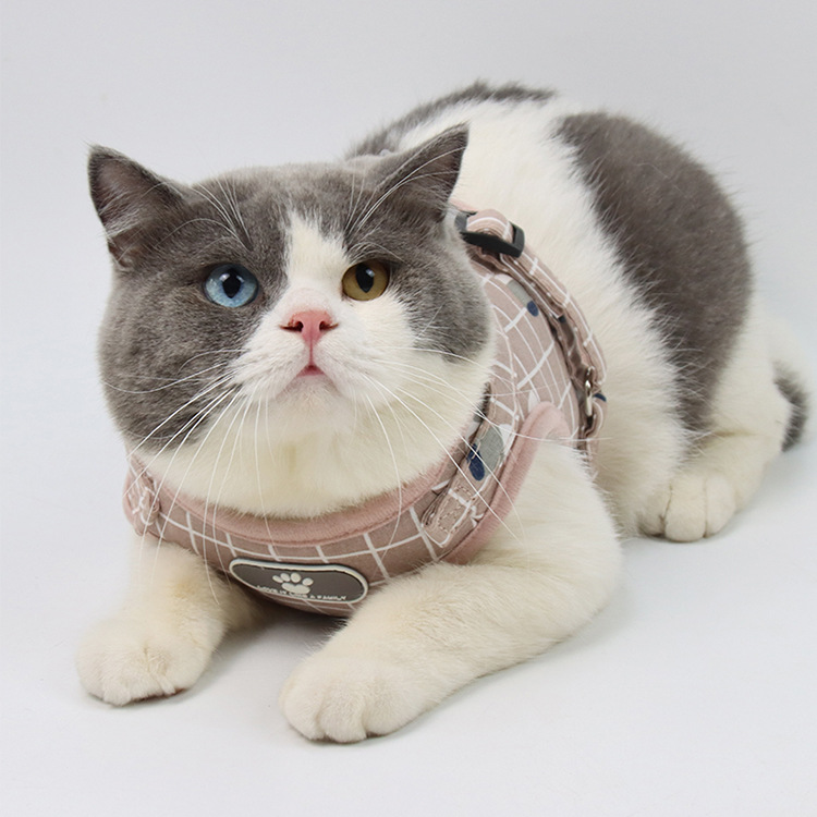 Pet Leash Vest-Style Dog Breast Strap Small and Medium-Sized Dogs Leash Cat Chest Back Currently Available Wholesale Pet Leash Vest-Style Dog Breast Strap Small and Medium-Sized Dogs Leash Cat Chest Back Currently Available Wholesale
