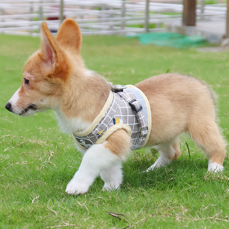 Pet Leash Vest-Style Dog Breast Strap Small and Medium-Sized Dogs Leash Cat Chest Back Currently Available Wholesale Pet Leash Vest-Style Dog Breast Strap Small and Medium-Sized Dogs Leash Cat Chest Back Currently Available Wholesale