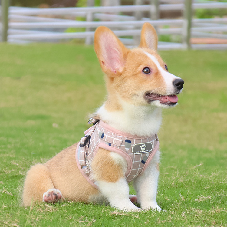 Pet Leash Vest-Style Dog Breast Strap Small and Medium-Sized Dogs Leash Cat Chest Back Currently Available Wholesale Pet Leash Vest-Style Dog Breast Strap Small and Medium-Sized Dogs Leash Cat Chest Back Currently Available Wholesale