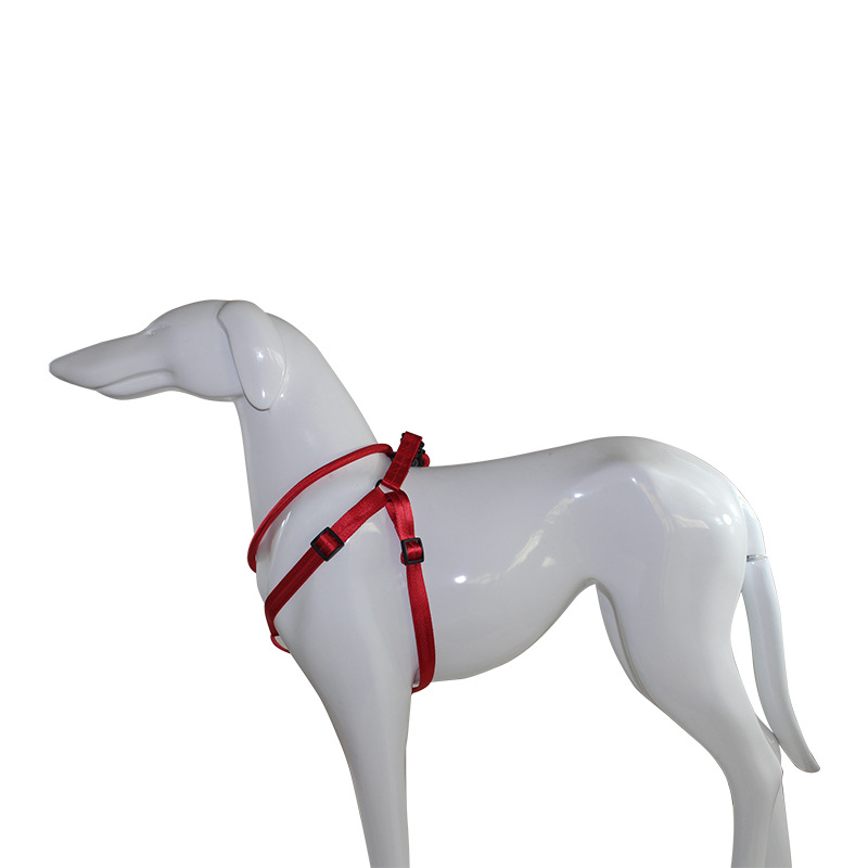 Processing Customized Pet Supplies Hand Holding Rope Dog Chest and Back Nylon Dog Rope Amazon Pet Collar