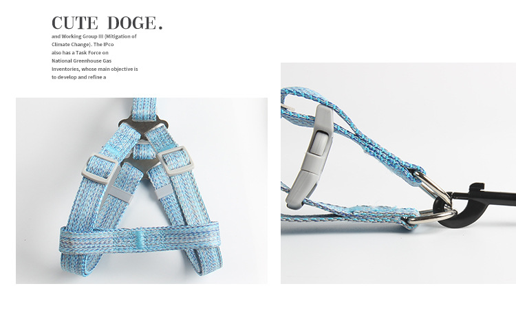 Hot Selling Pet Leash Dog Breast Strap Small and MediumSized Dogs round Rope Chest Back Traction Supplies Whole Hot Selling Pet Leash Dog Breast Strap Small and MediumSized Dogs round Rope Chest Back Traction Supplies Whole