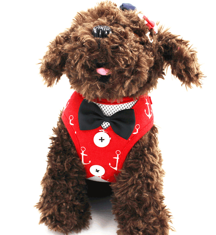 New Dog Hand Holding Rope Pet Bow Dress Chest and Back Leash Set Cat Dog Leash Dog Leash Supplies New Dog Hand Holding Rope Pet Bow Dress Chest and Back Leash Set Cat Dog Leash Dog Leash Supplies