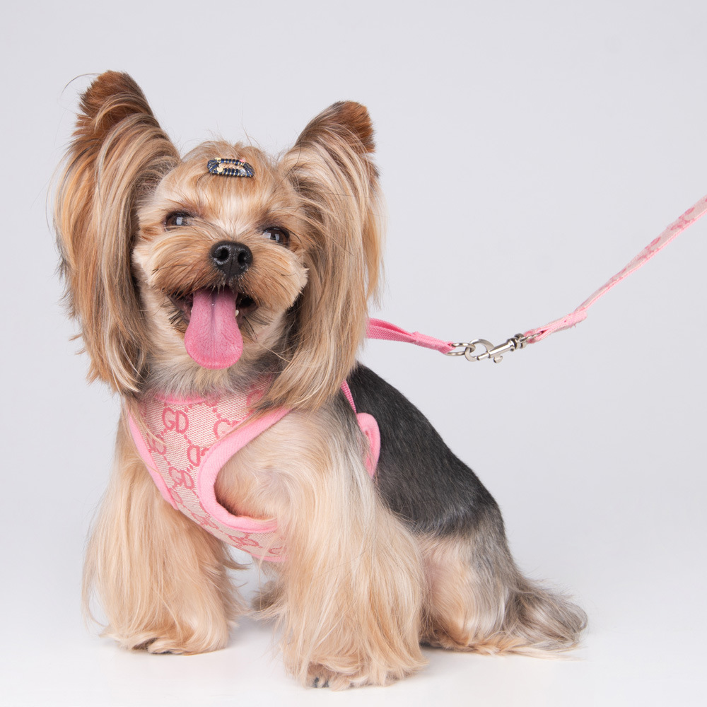 Amazon New Style Pet's Chest-Back Dog Hand Holding Rope Dog Rope out Collar Hand Holding Rope Pet Supplies Factory Amazon New Style Pet's Chest-Back Dog Hand Holding Rope Dog Rope out Collar Hand Holding Rope Pet Supplies Factory