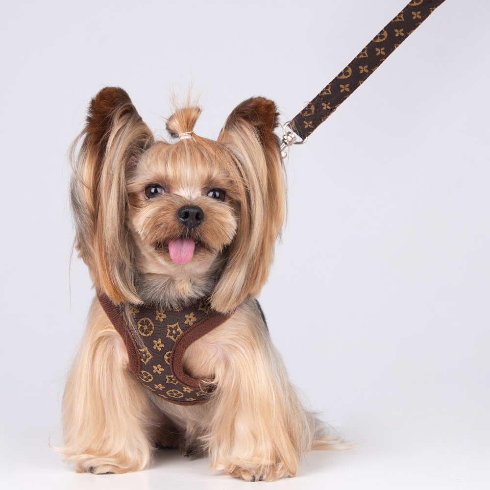 Amazon New Style Pet's Chest-Back Dog Hand Holding Rope Dog Rope out Collar Hand Holding Rope Pet Supplies Factory Amazon New Style Pet's Chest-Back Dog Hand Holding Rope Dog Rope out Collar Hand Holding Rope Pet Supplies Factory