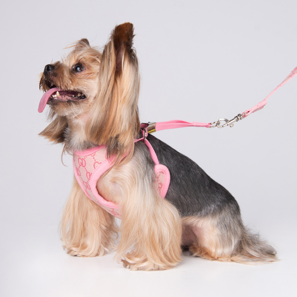Amazon New Style Pet's Chest-Back Dog Hand Holding Rope Dog Rope out Collar Hand Holding Rope Pet Supplies Factory Amazon New Style Pet's Chest-Back Dog Hand Holding Rope Dog Rope out Collar Hand Holding Rope Pet Supplies Factory