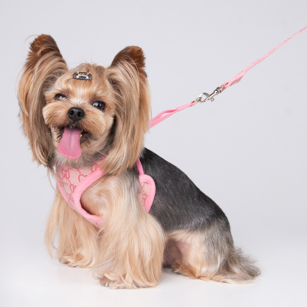 Amazon New Style Pet's Chest-Back Dog Hand Holding Rope Dog Rope out Collar Hand Holding Rope Pet Supplies Factory Amazon New Style Pet's Chest-Back Dog Hand Holding Rope Dog Rope out Collar Hand Holding Rope Pet Supplies Factory