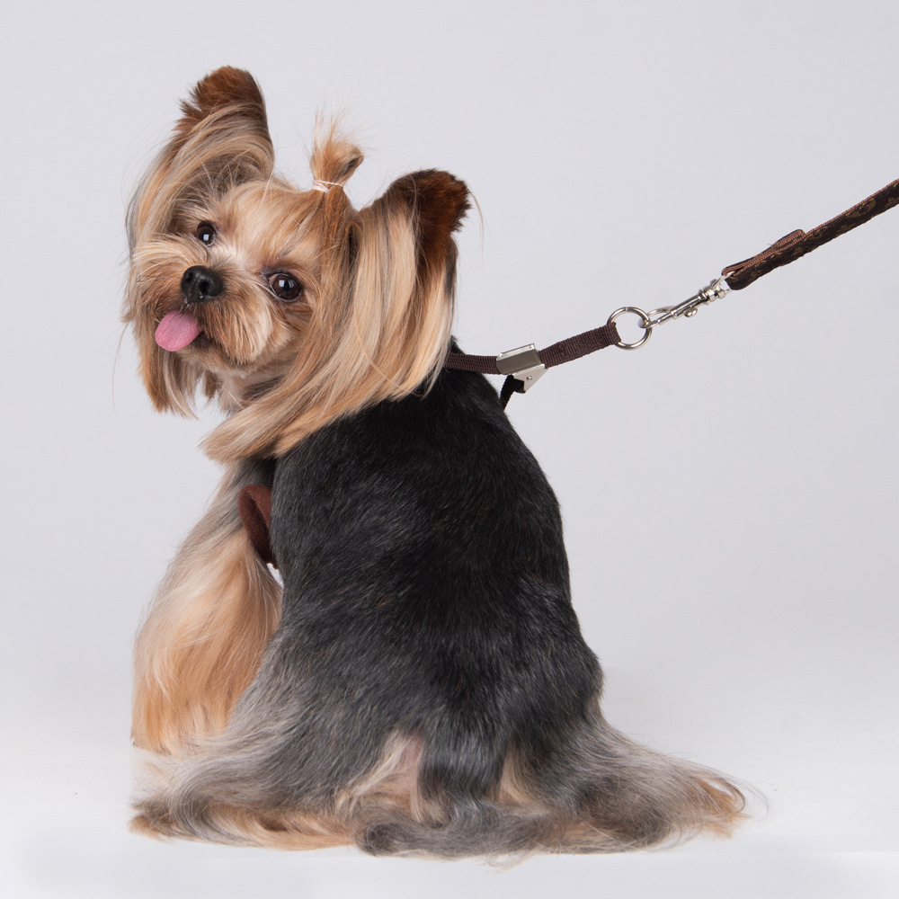 Amazon New Style Pet's Chest-Back Dog Hand Holding Rope Dog Rope out Collar Hand Holding Rope Pet Supplies Factory Amazon New Style Pet's Chest-Back Dog Hand Holding Rope Dog Rope out Collar Hand Holding Rope Pet Supplies Factory