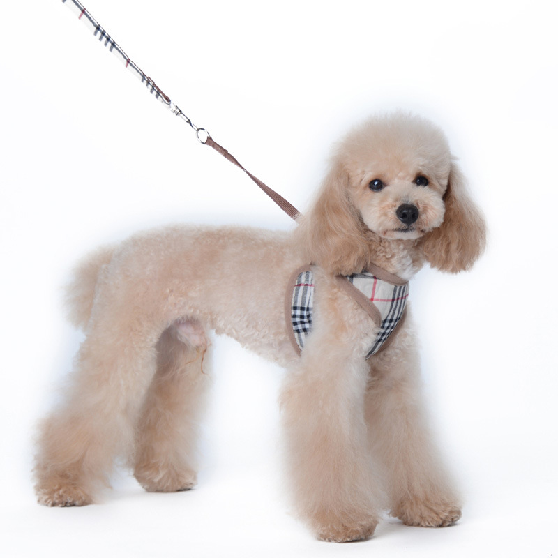 Amazon New Style Pet's Chest-Back Dog Hand Holding Rope Dog Rope out Collar Hand Holding Rope Pet Supplies Factory Amazon New Style Pet's Chest-Back Dog Hand Holding Rope Dog Rope out Collar Hand Holding Rope Pet Supplies Factory