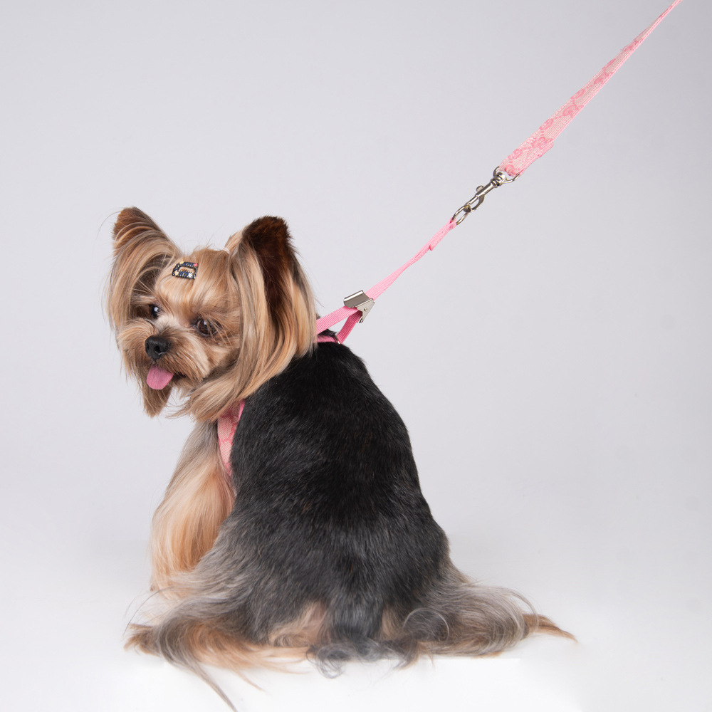 Amazon New Style Pet's Chest-Back Dog Hand Holding Rope Dog Rope out Collar Hand Holding Rope Pet Supplies Factory Amazon New Style Pet's Chest-Back Dog Hand Holding Rope Dog Rope out Collar Hand Holding Rope Pet Supplies Factory
