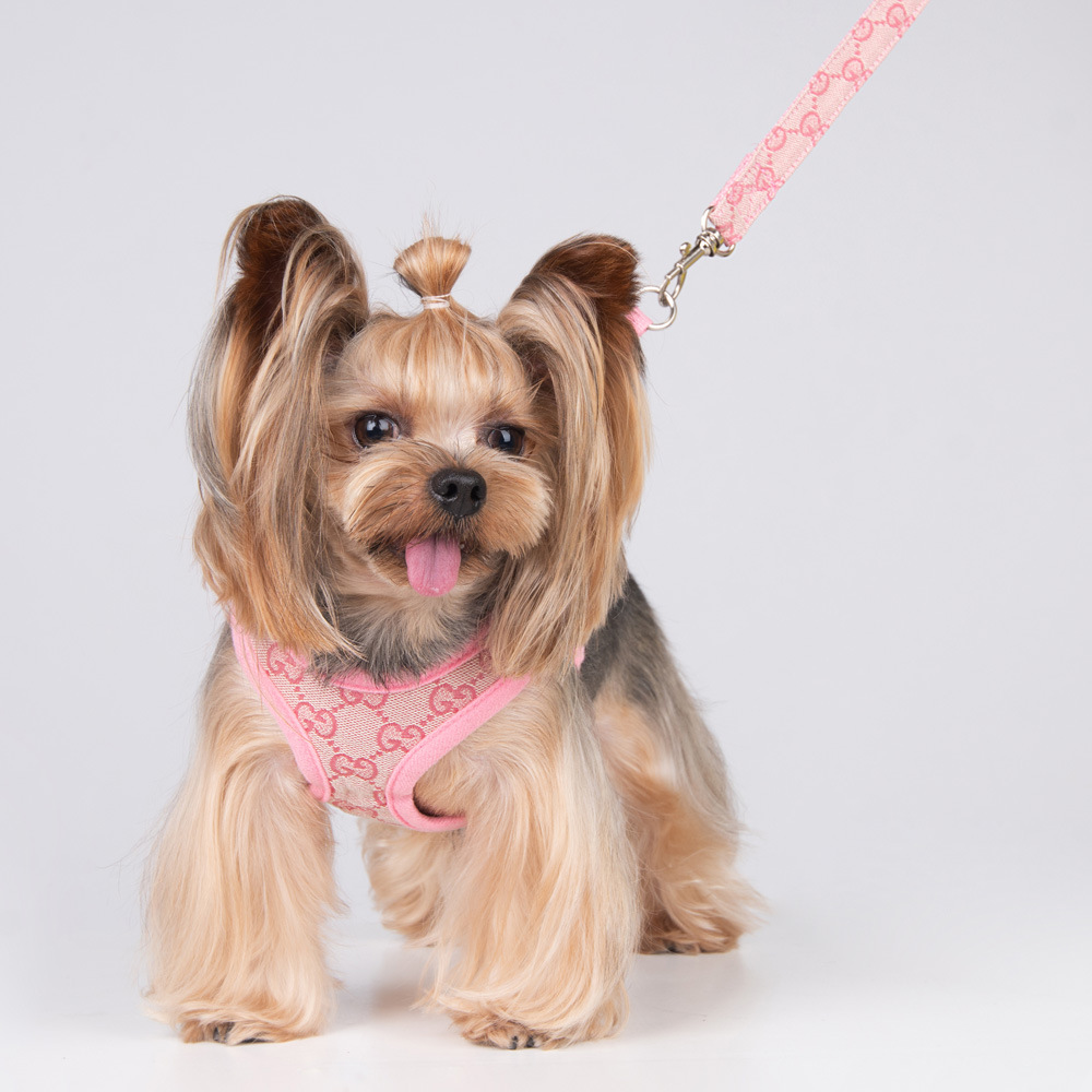 Amazon New Style Pet's Chest-Back Dog Hand Holding Rope Dog Rope out Collar Hand Holding Rope Pet Supplies Factory Amazon New Style Pet's Chest-Back Dog Hand Holding Rope Dog Rope out Collar Hand Holding Rope Pet Supplies Factory