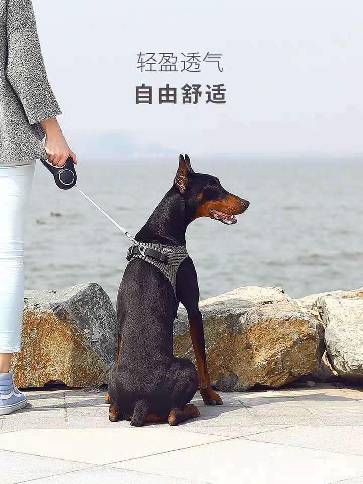 Amazon pet dog leash vest type dog leash dog chest back leash clothing Amazon pet dog leash vest type dog leash dog chest back leash clothing