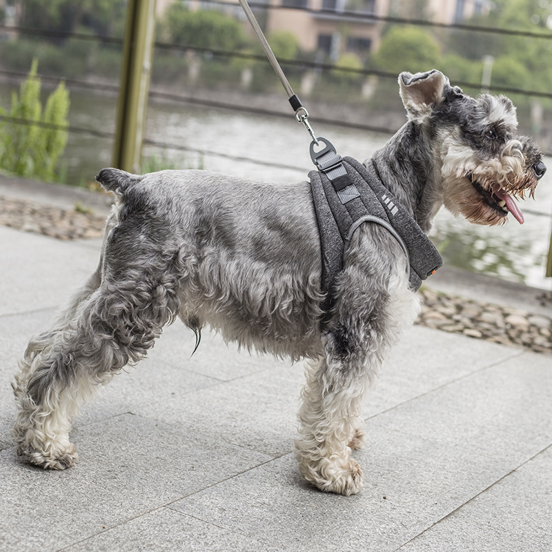 Amazon pet dog leash vest type dog leash dog chest back leash clothing Amazon pet dog leash vest type dog leash dog chest back leash clothing