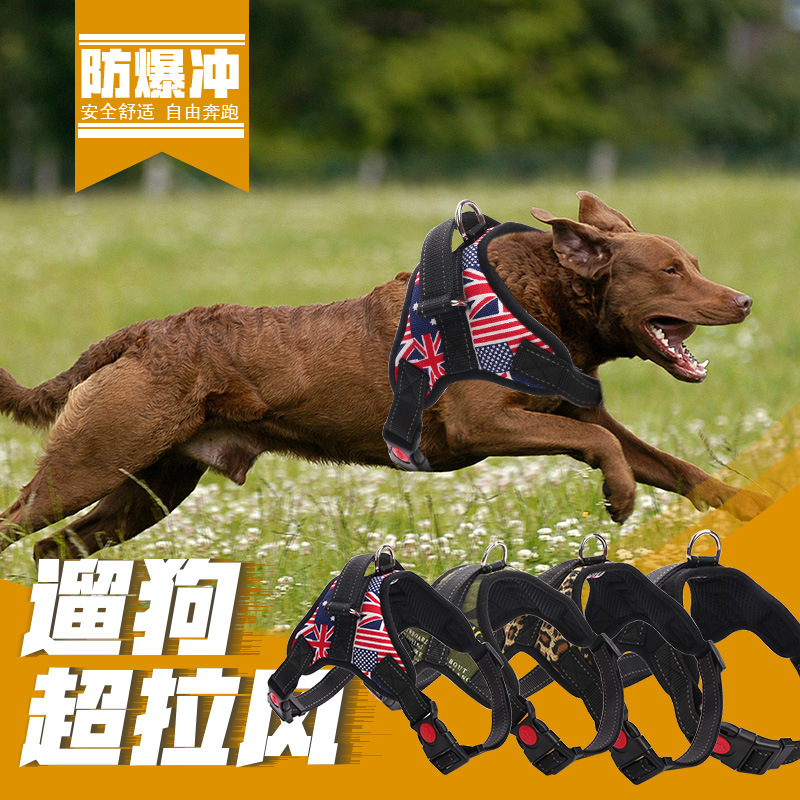 Pet&#039;s Chest-Back Medium Large Dog Dog Chain Explosion-Proof Chest Strap Dog Leash Dog Hand Holding Rope Factory Direct Sales