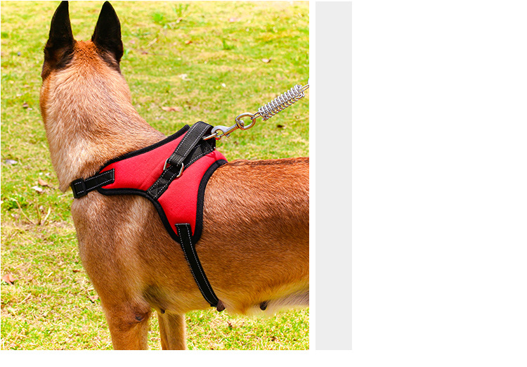 Pet's Chest-Back Medium Large Dog Dog Chain Explosion-Proof Chest Strap Dog Leash Dog Hand Holding Rope Factory Direct Sales Pet's Chest-Back Medium Large Dog Dog Chain Explosion-Proof Chest Strap Dog Leash Dog Hand Holding Rope Factory Direct Sales