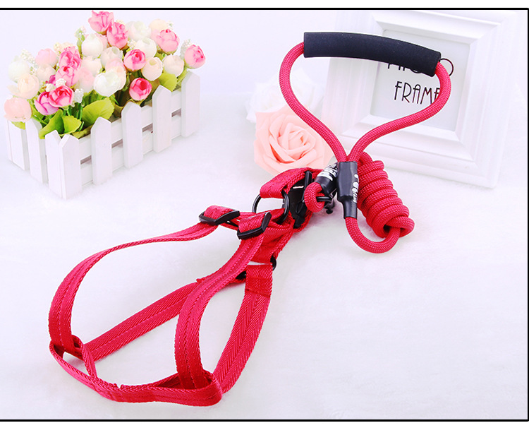 Manufacturer direct selling pet chest back - band traction rope nylon handle round rope climbing chest back cover Manufacturer direct selling pet chest back - band traction rope nylon handle round rope climbing chest back cover