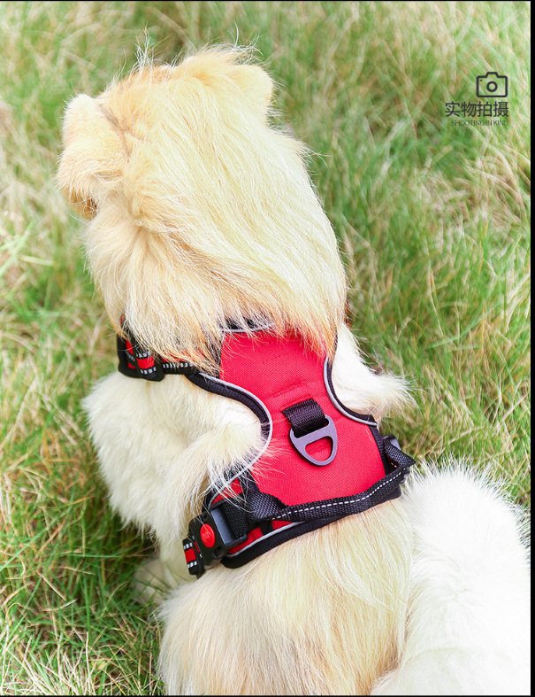 Hot Sale Dog Breast Strap Explosion-Proof Pet Hand Holding Rope Dog Vest Reflective Pet's Chest-Back Factory Direct Sales Hot Sale Dog Breast Strap Explosion-Proof Pet Hand Holding Rope Dog Vest Reflective Pet's Chest-Back Factory Direct Sales
