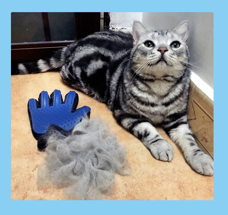 Cat Petting Hair Removal Gloves Bath Massage Pet Brushing Gloves Cleaning products