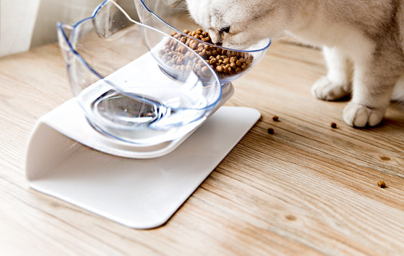 Cat Bowl Oblique Double Bowl Cervical Protection Cat Food Holder Cat Food Bowl Pet Dog Basin Dog Bowl Pet Bowl Automatic Drinking Water
