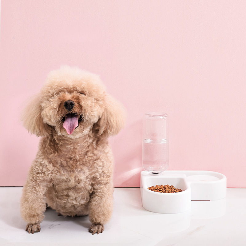 Creative Pet Supplies Pet Bowl Corner Double Bowl Drink Fountain Feeding Bowl Multifunctional Cat Bowl Right Angle Bowl